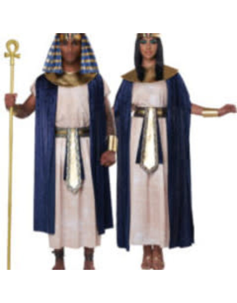 Adult Ancient Egyptian Tunic Small/Medium (40-42) Costume