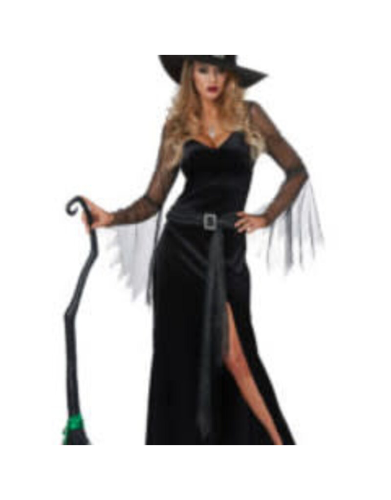 Women's Rich Witch Medium (8-10) Costume