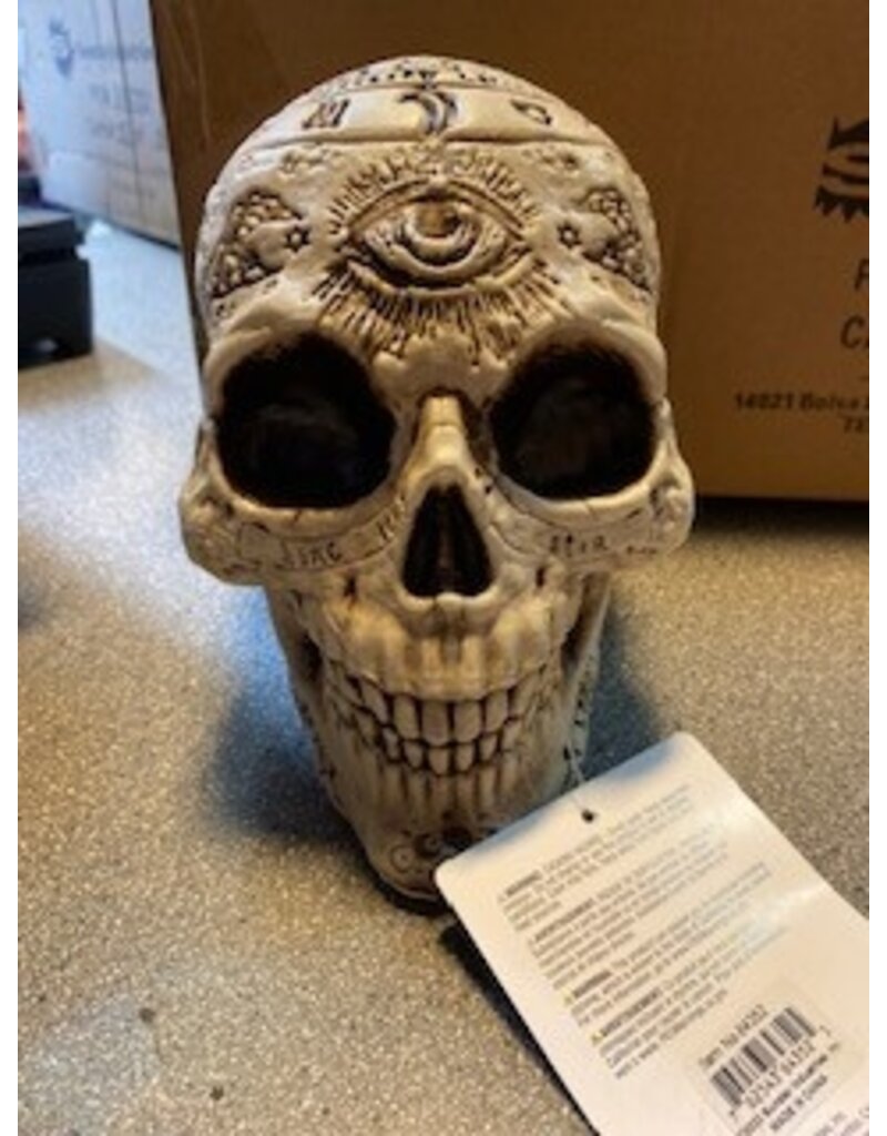 7" Fortune Telling Plastic Skull