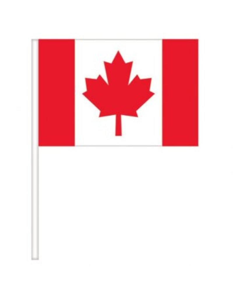 Canada Flags 4x6 (4)