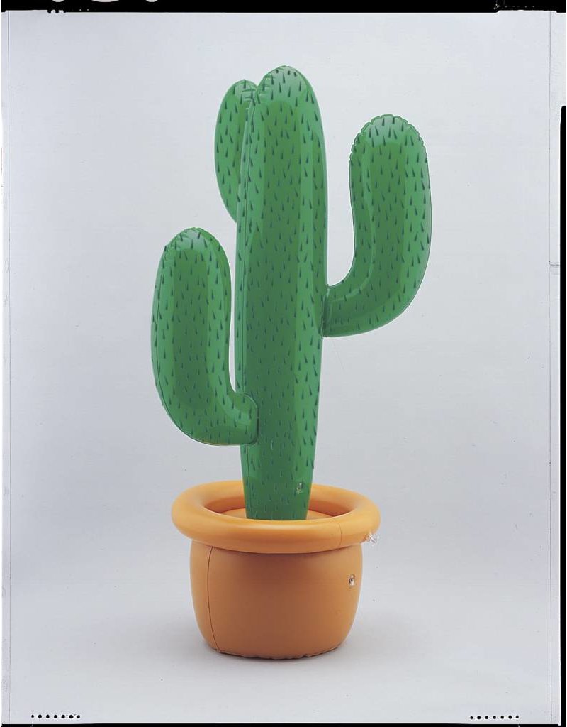 Inflatable Cactus 34"