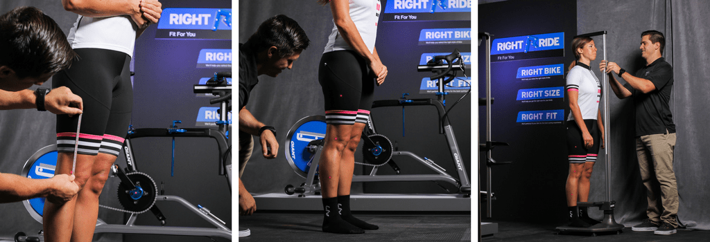giant bike fit
