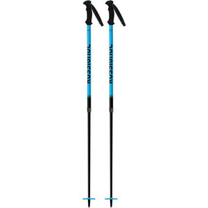telescopic ski pole