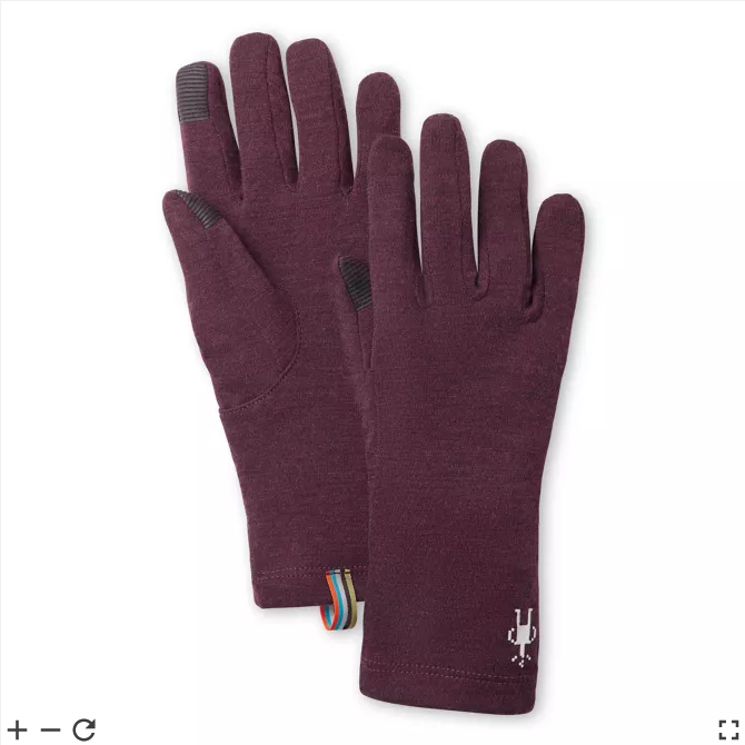 Merino 250 Glove 21/22 - Ski Center LTD