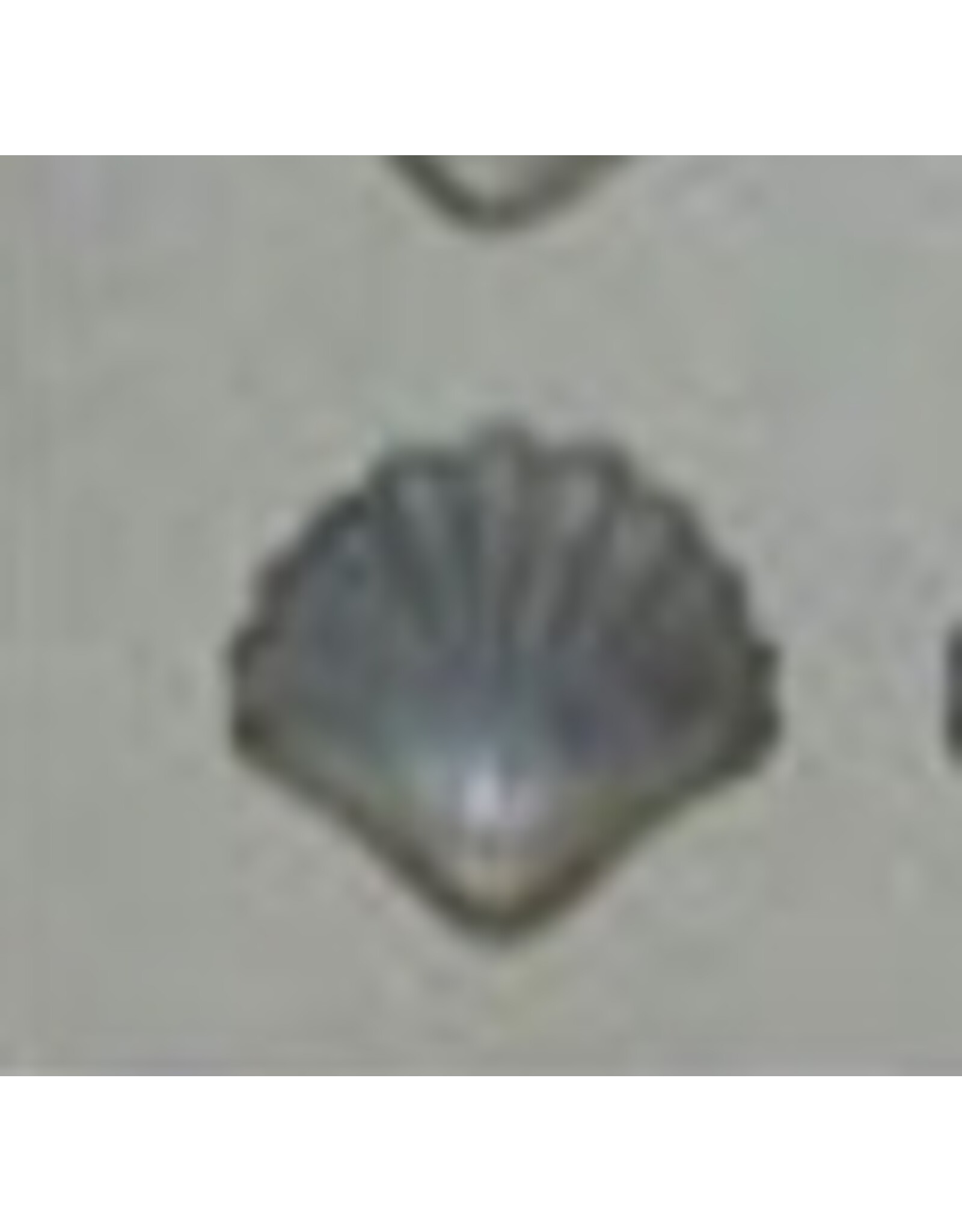Shell Mint Mold