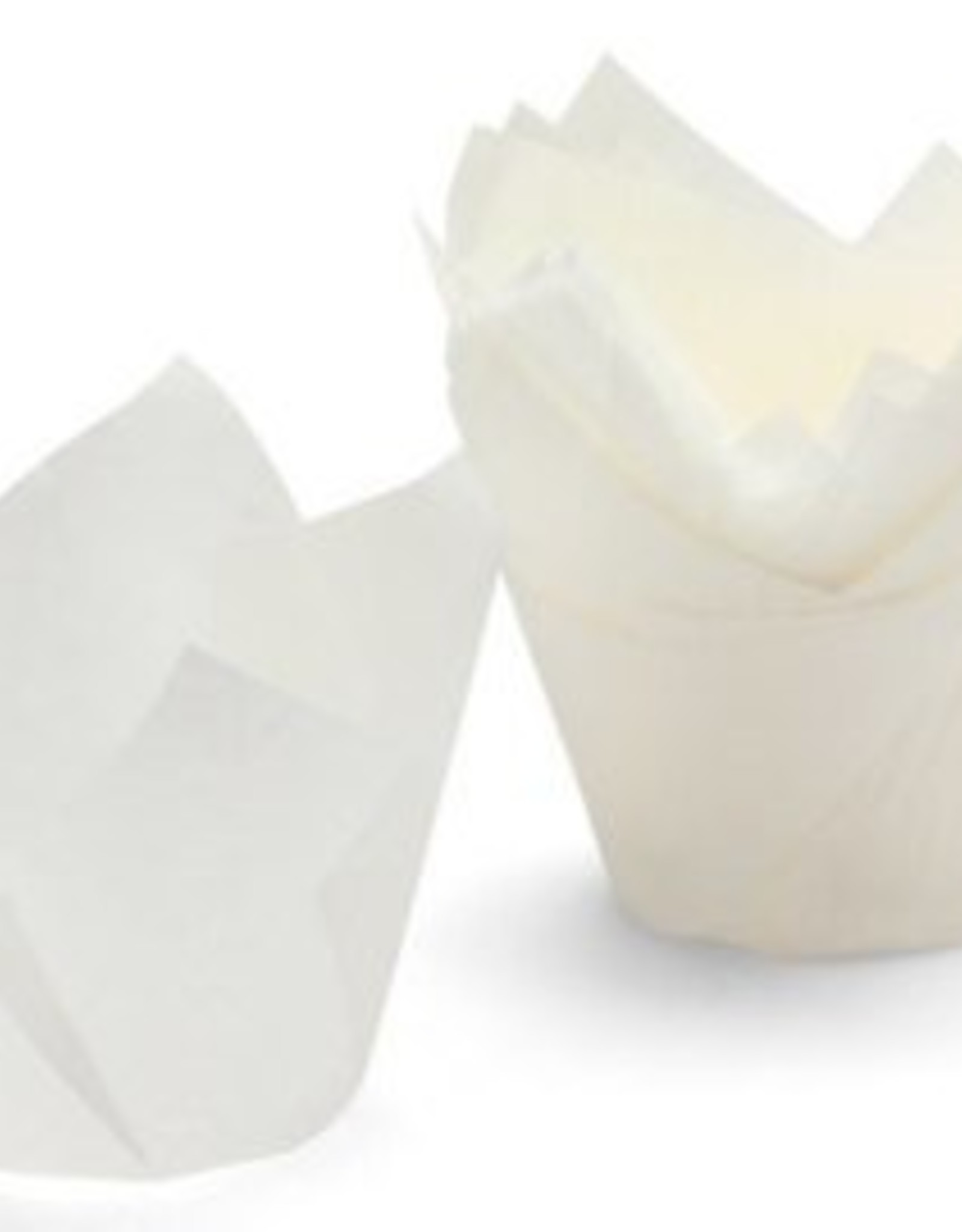 White Tulip Baking Cups(24 ct)