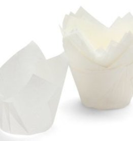 White Tulip Baking Cups(24 ct)