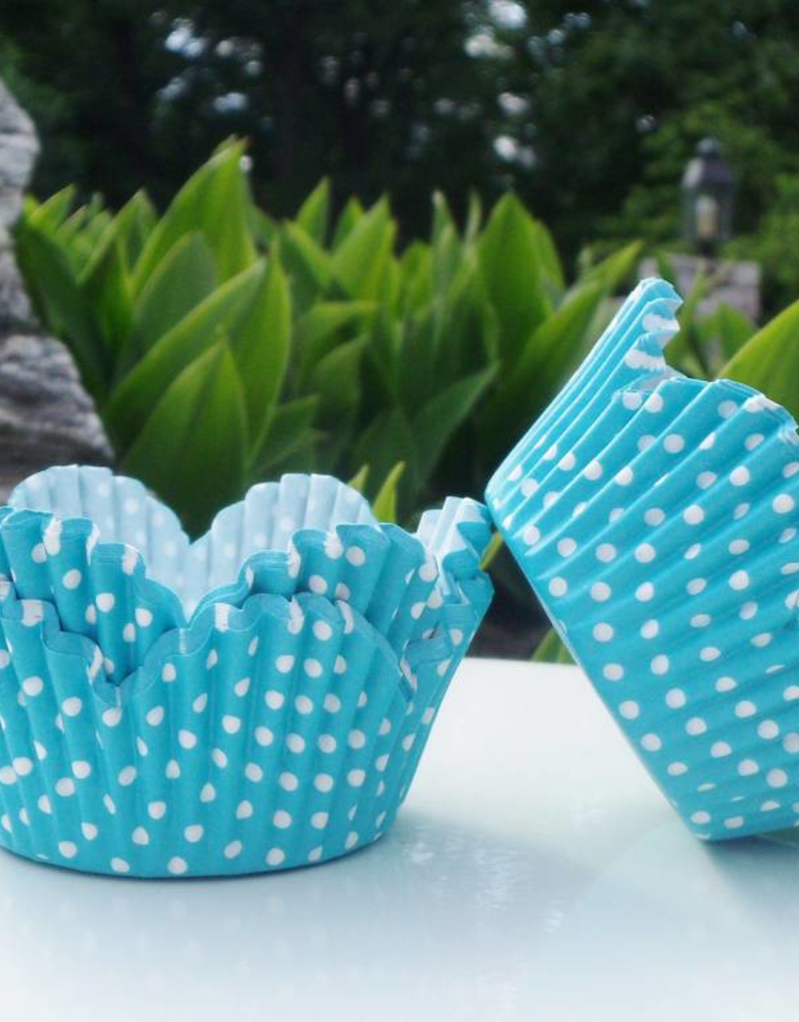 Turquoise Dot Flower Baking Cups