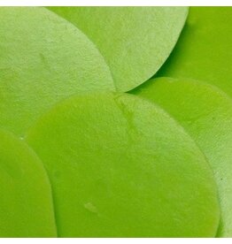 Sweet! Candy Coating (Lime Green) 1 lb.