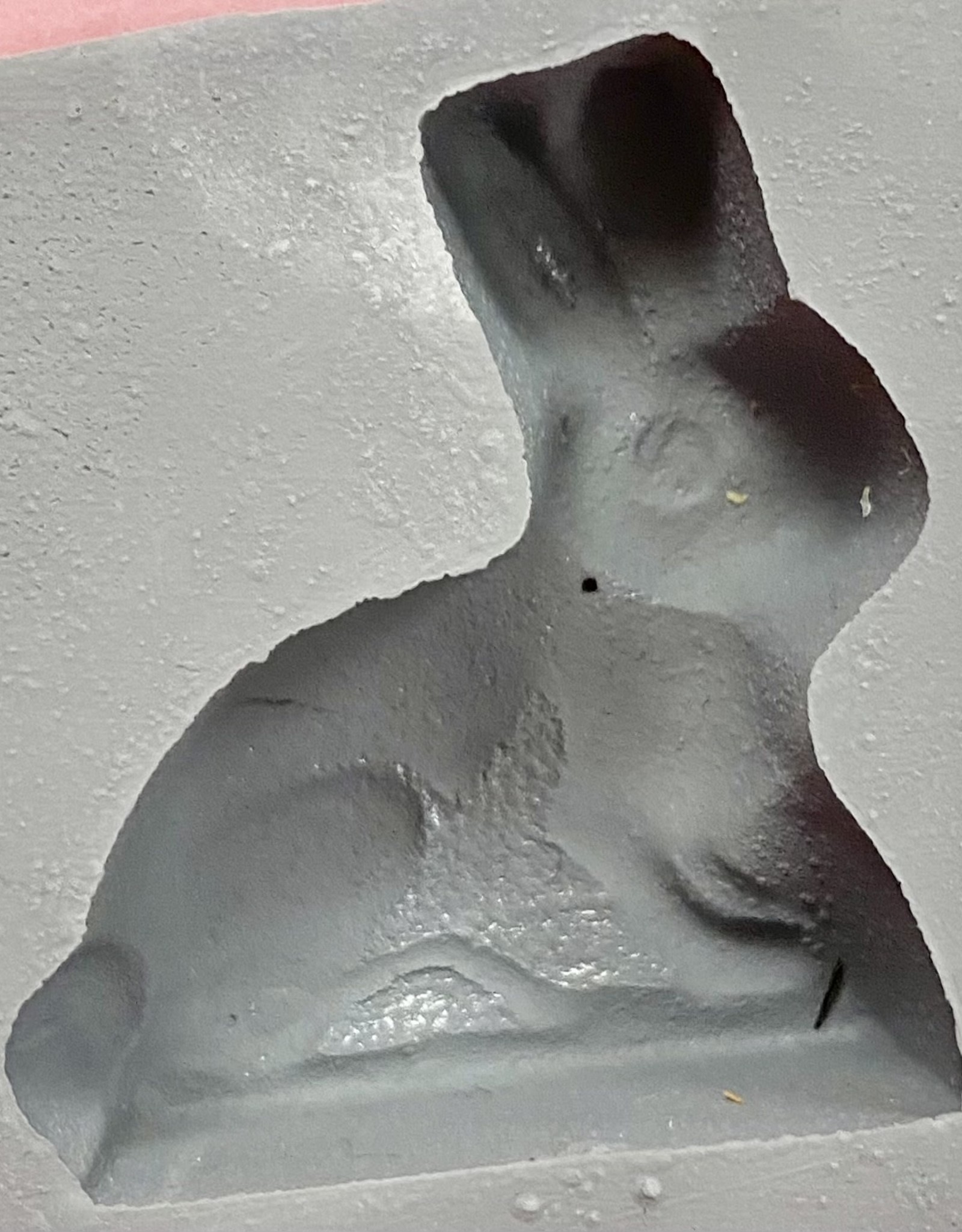 Rabbit Mint Mold