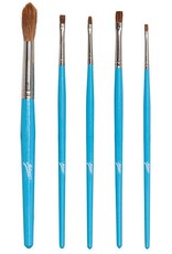 5-pc Artist Brush Set