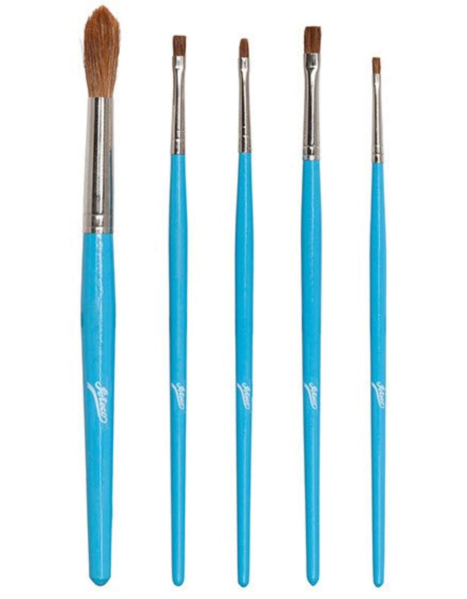 5-pc Artist Brush Set