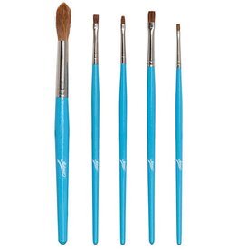 5-pc Artist Brush Set