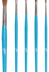 5-pc Artist Brush Set