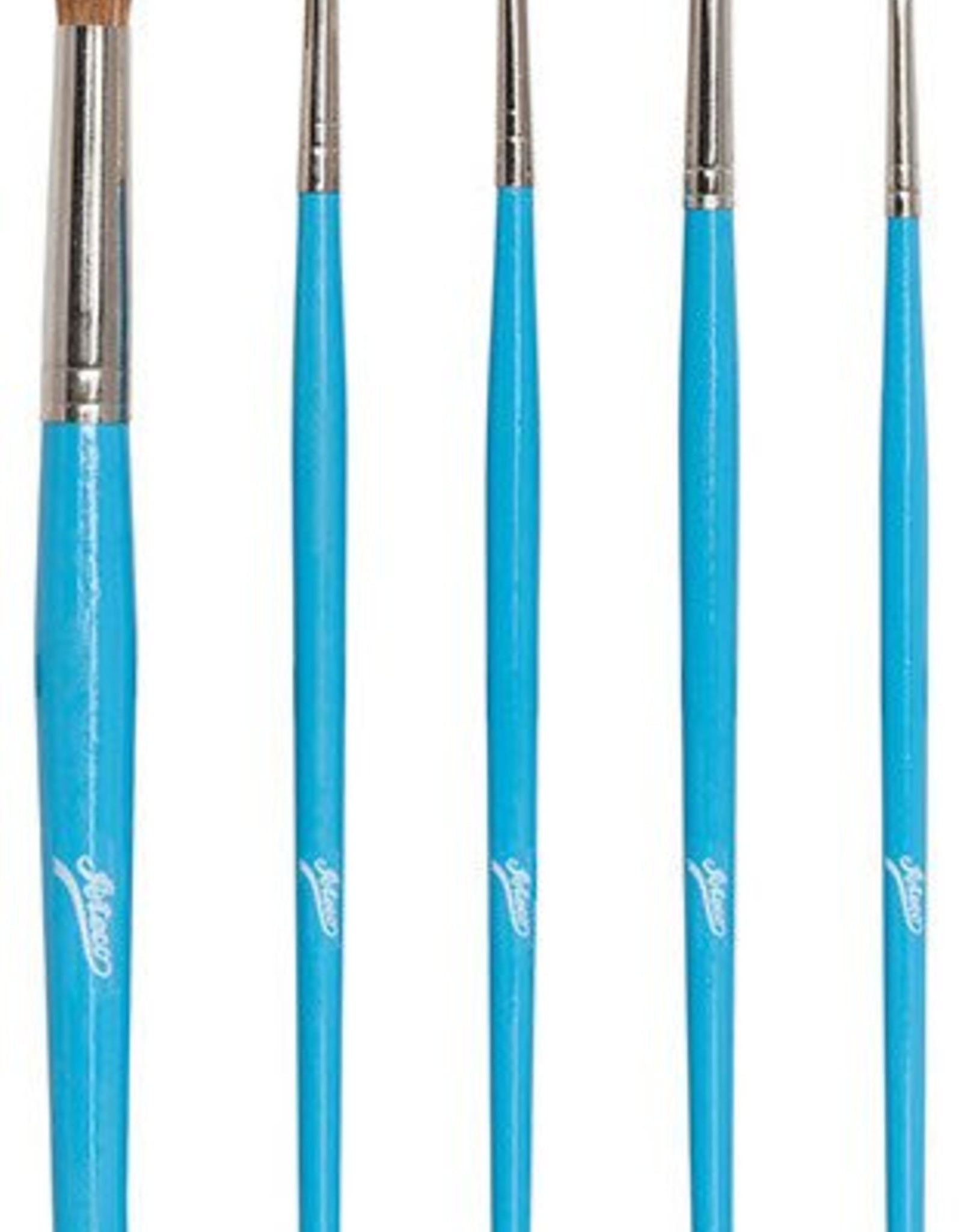 5-pc Artist Brush Set