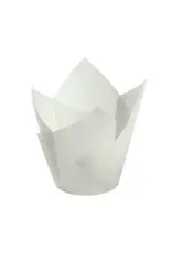 Factory Price Direct White Tulip Baking Cups (50 ct)