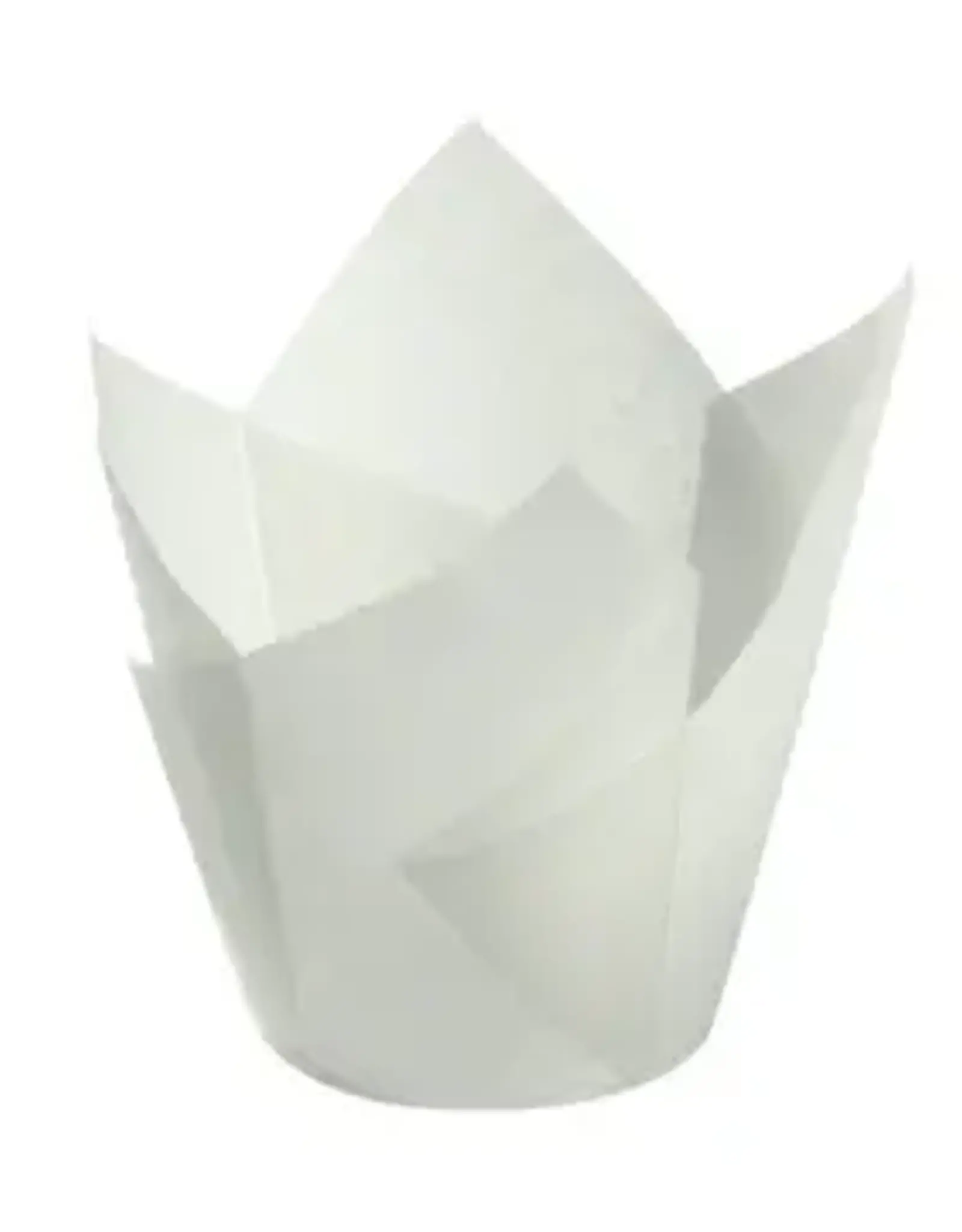 Factory Price Direct White Tulip Baking Cups (50 ct)