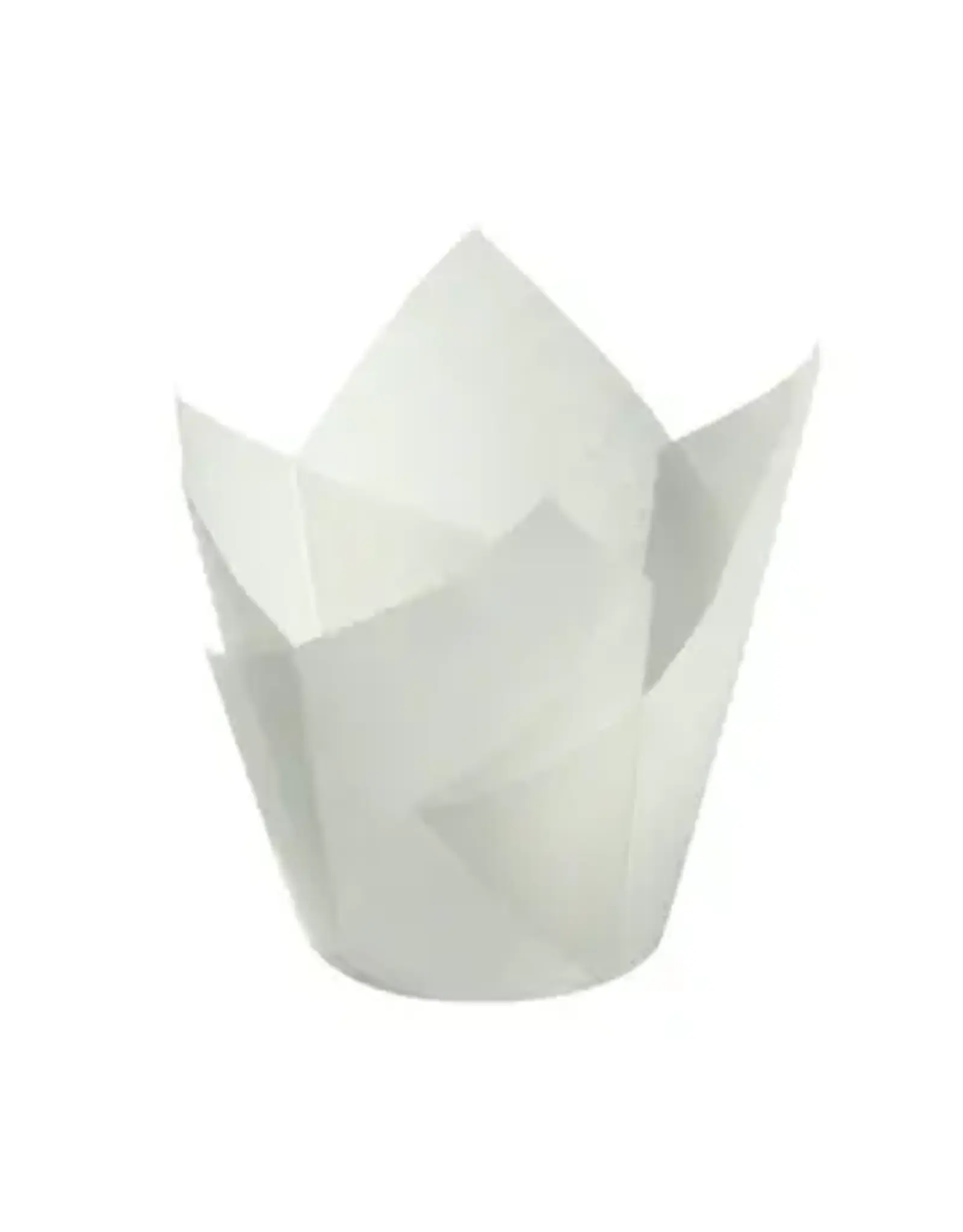 Factory Price Direct White Tulip Baking Cups (50 ct)