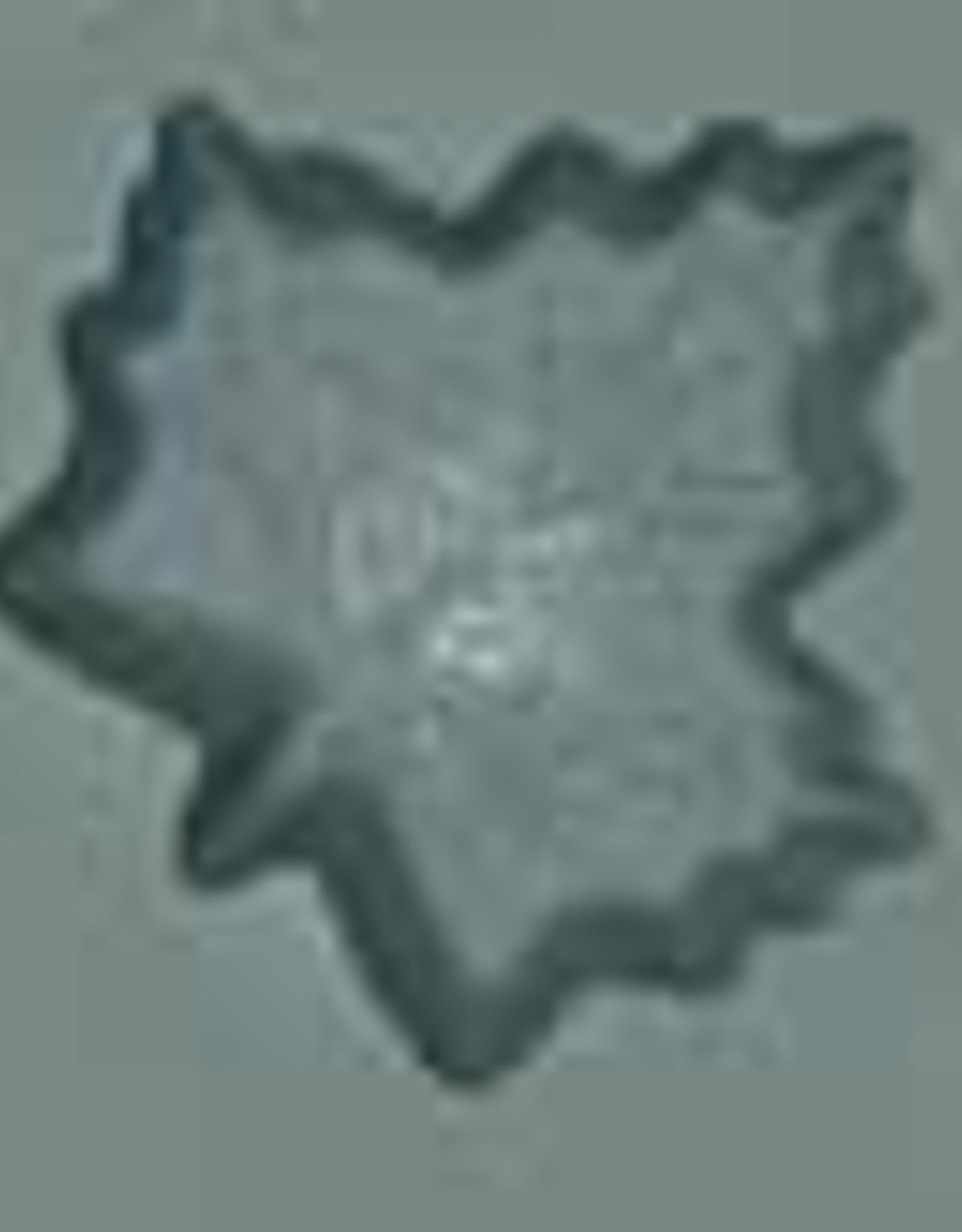Maple Leaf Mint Mold