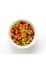 Autumn Quins (Red, Orange, Brown, Lime)