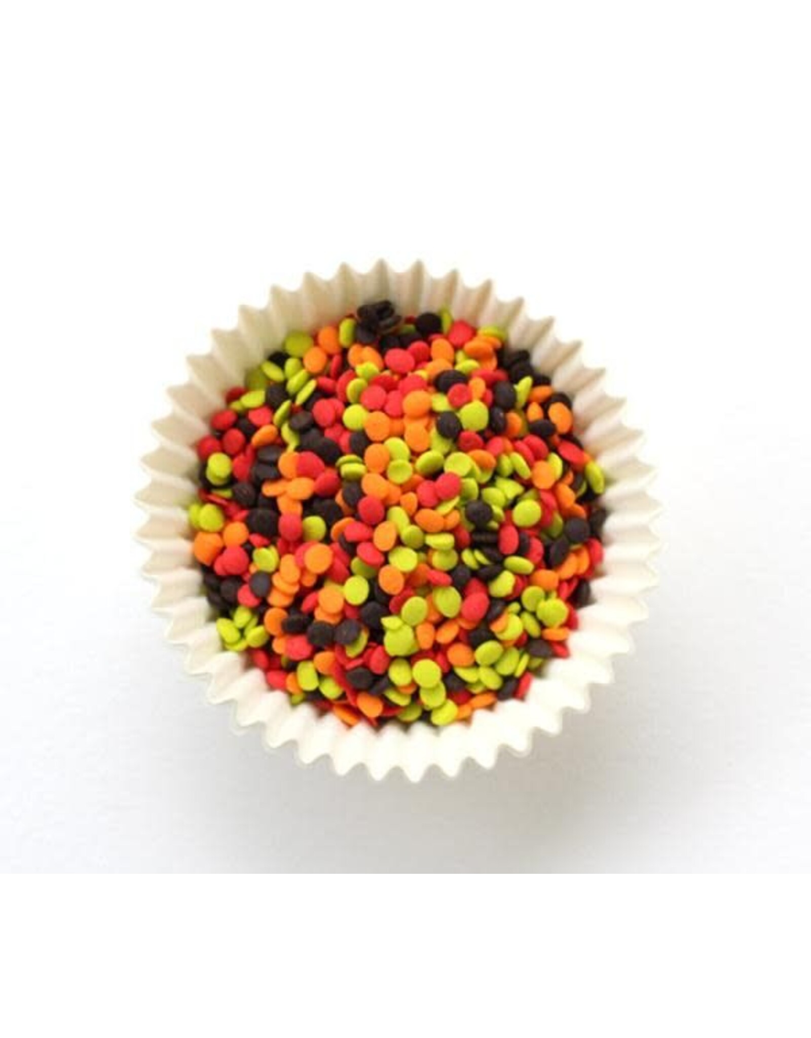 Autumn Quins (Red, Orange, Brown, Lime)