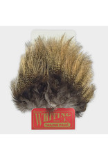 Whiting Hackle Farms Whiting Coq De Leon Tailing
