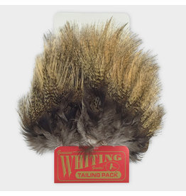 Whiting Hackle Farms Whiting Coq De Leon Tailing