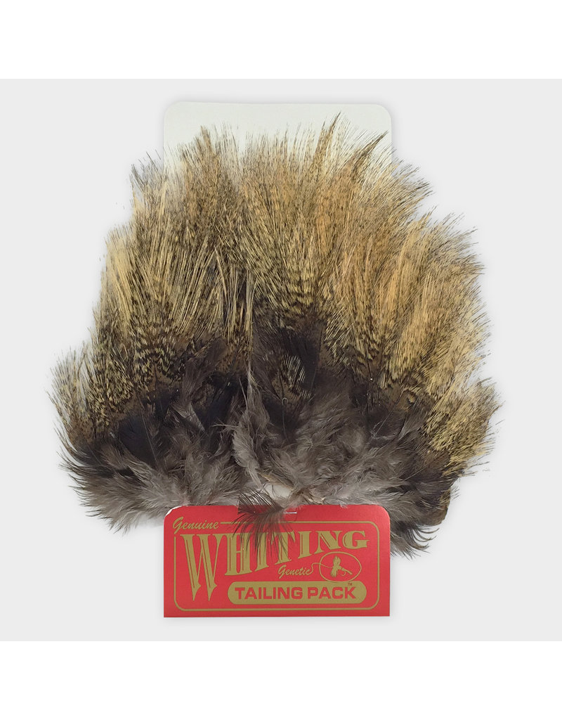 Whiting Hackle Farms Whiting Coq De Leon Tailing