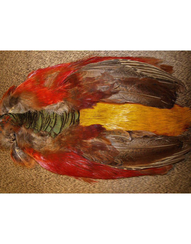 Nature's Spirit Golden Pheasant Complete Skin-No Head