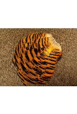 Nature's Spirit Golden Pheasant Tippet Section