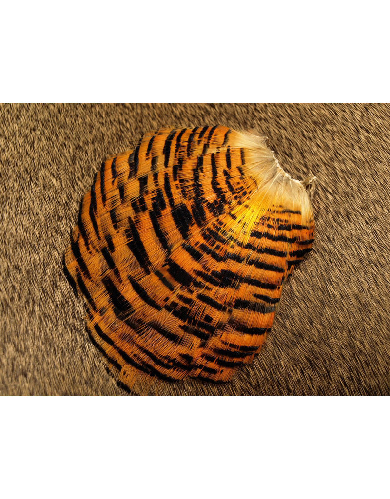 Nature's Spirit Golden Pheasant Tippet Section