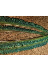 Nature's Spirit Peacock Swords Natural