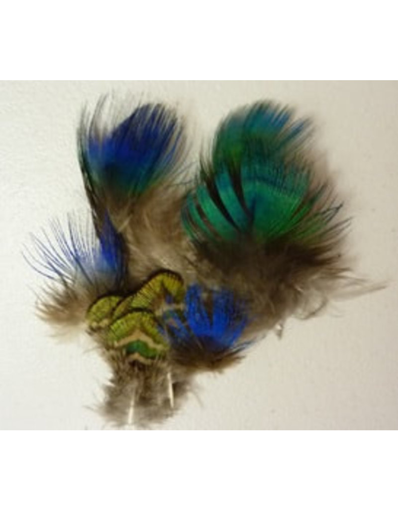 Nature's Spirit Indian Blue Peacock Body Feathers Natural Iridescent Blue