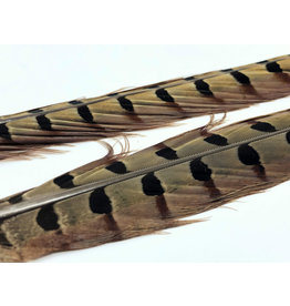 Wapsi Fly Pheasant Tail Feathers