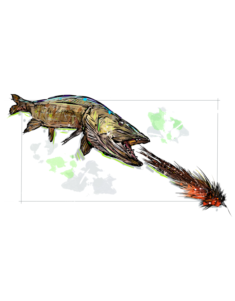 District Angling Musky 2.0 Sticker