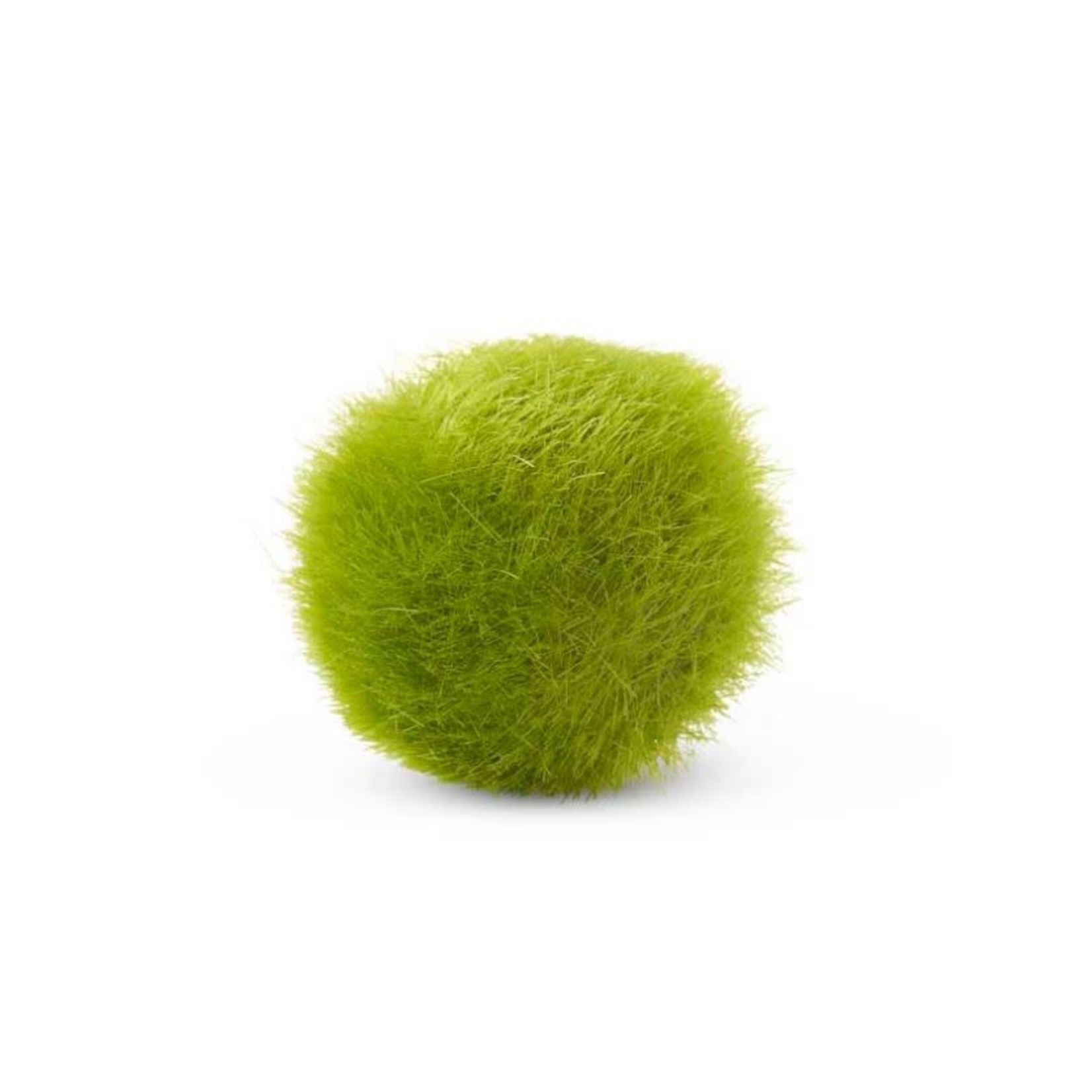 K & K Interiors, Inc. 2.5in Fuzzy Moss Ball