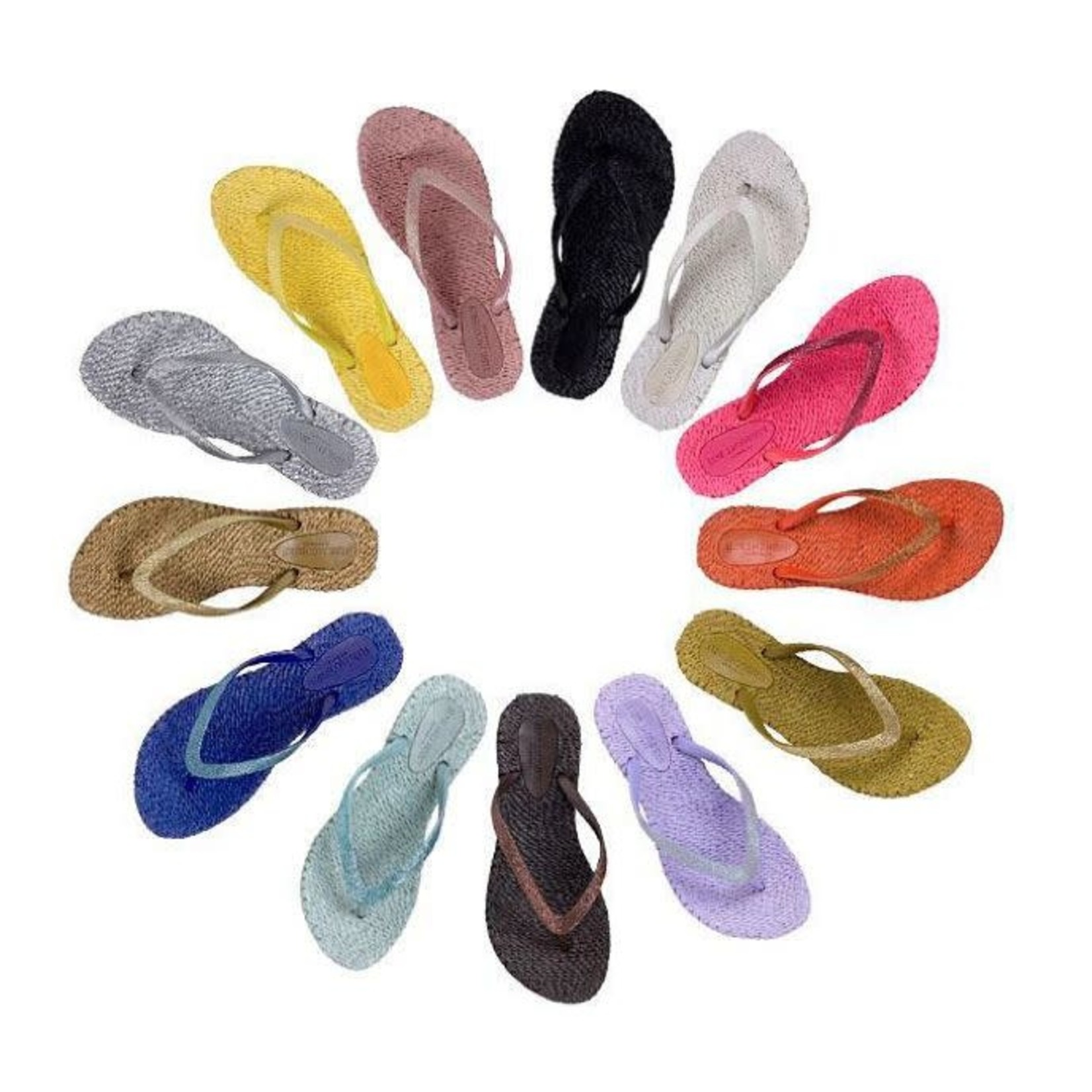 Cheerful Flip flop Sandals