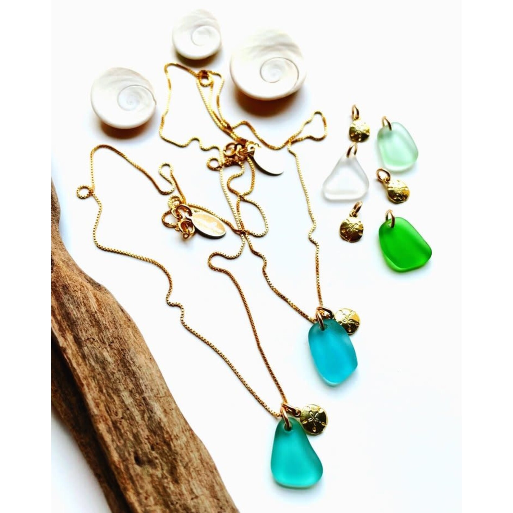 Sand Dollar/Sea Shell Neck. 14K G