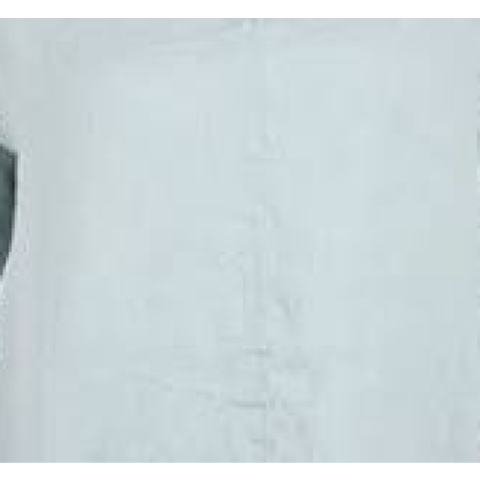 4409866 Walking Skirt