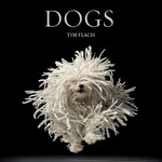 Dogs by Flach