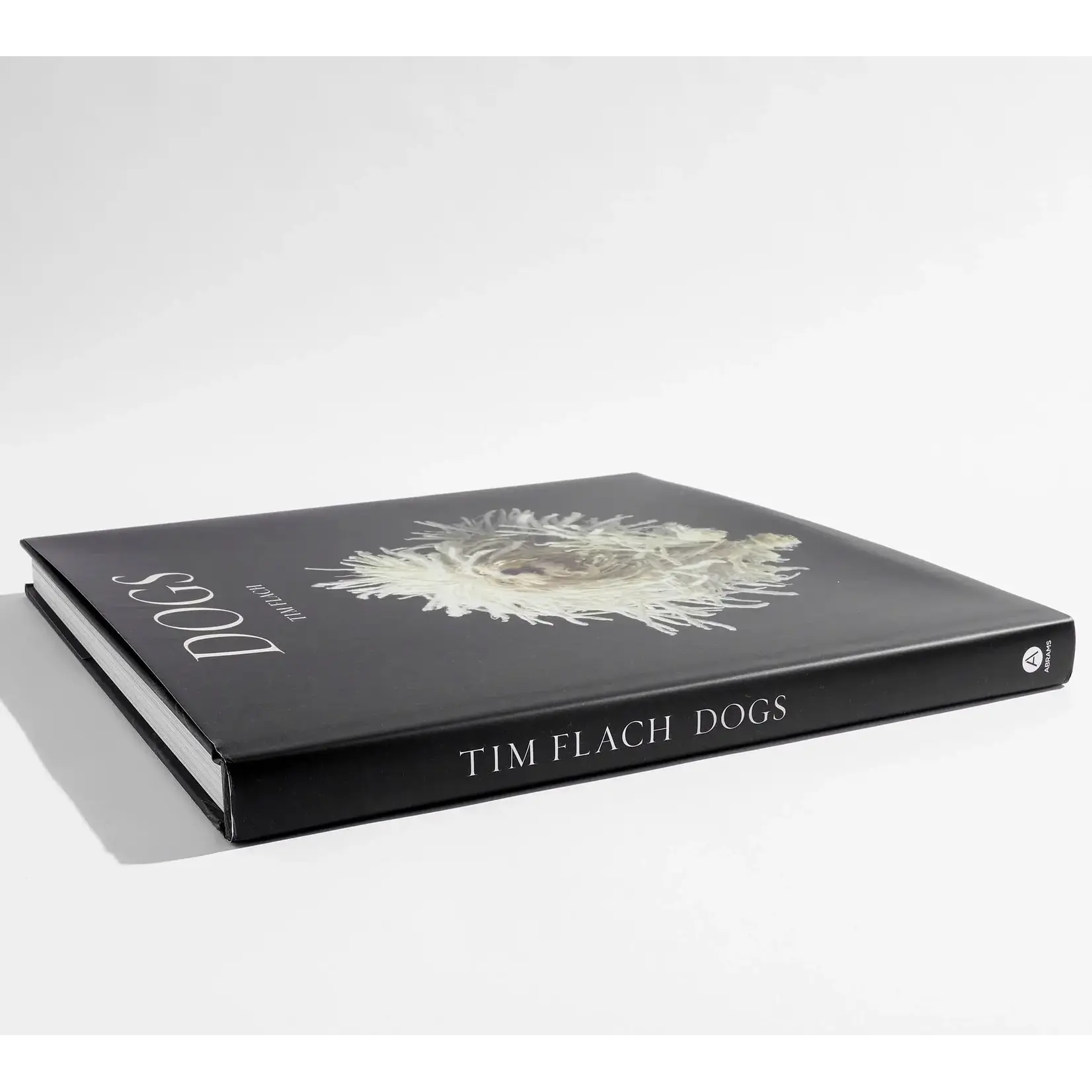 Dogs by Flach