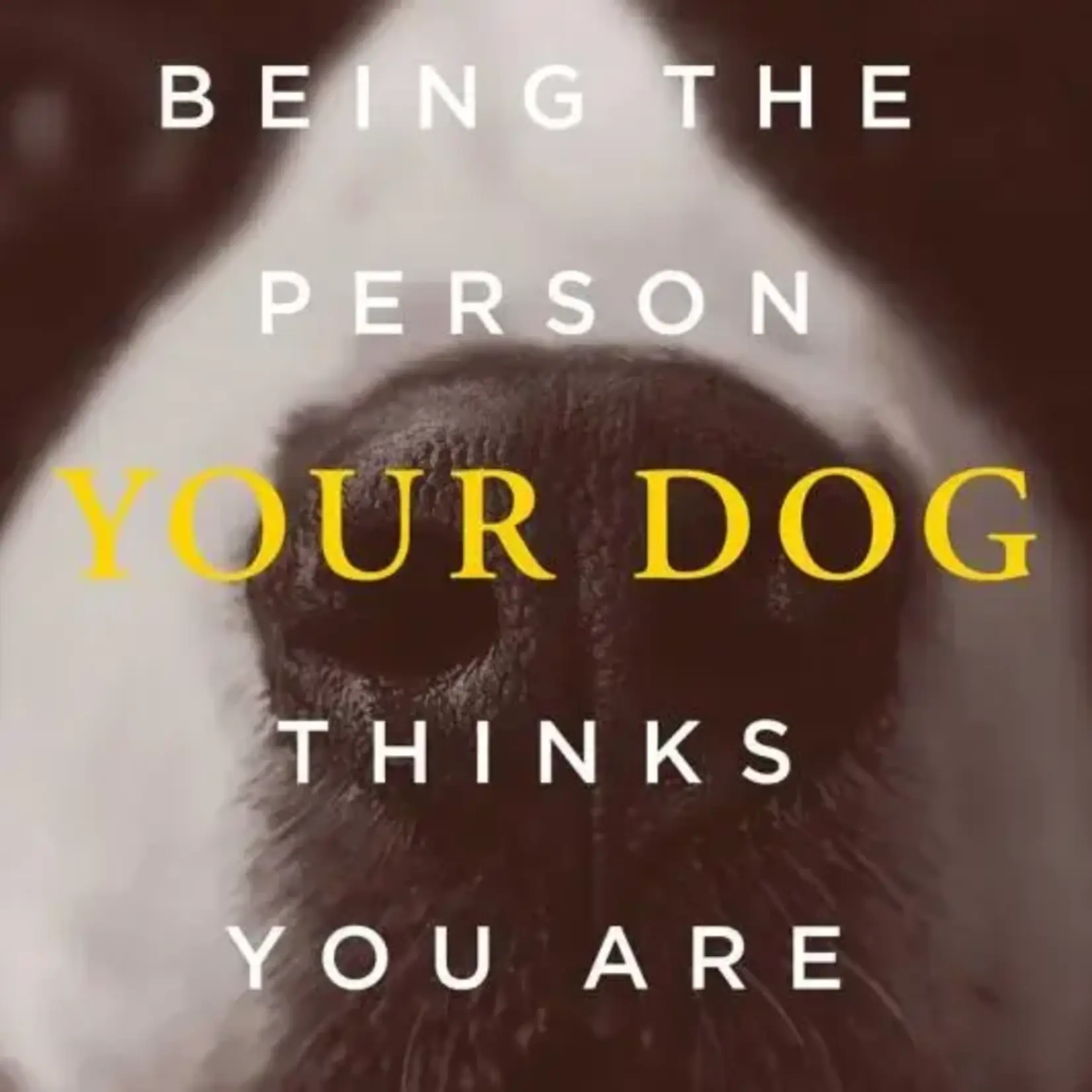 Be/Person Dogs think you are (Large)