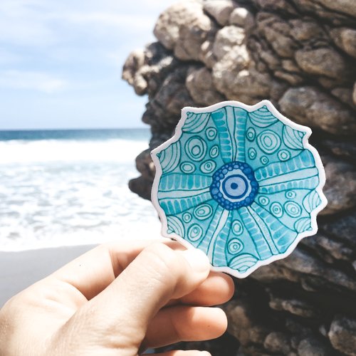 Urchin- Decal Turquoise