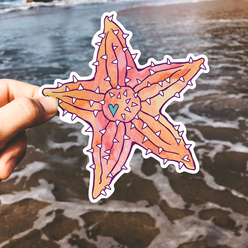 Cushion Starfish- Decal
