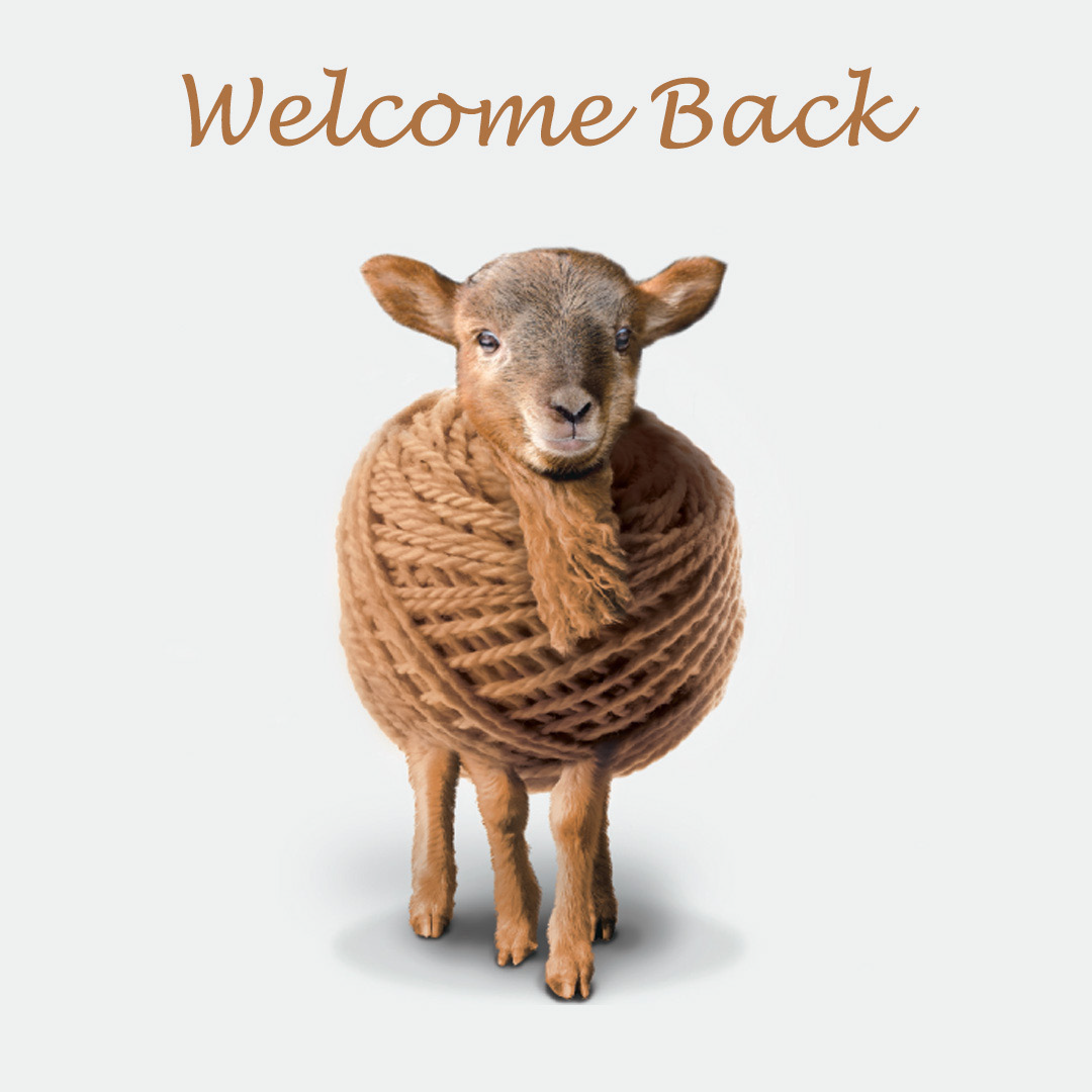 Wool & Co. Store News