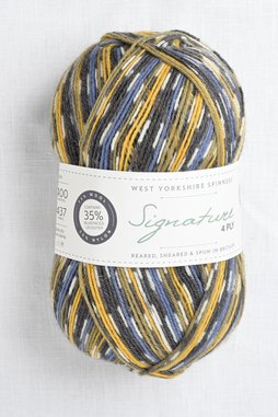 Image of WYS Signature 4 Ply 818 Blue Tit