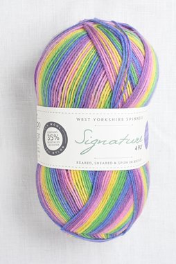 Image of WYS Signature 4 Ply 872 Wildflower