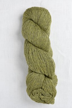Image of Cascade 220 2452 Turtle