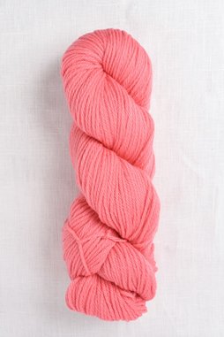 Image of Cascade 220 7804 Shrimp (Discontinued)