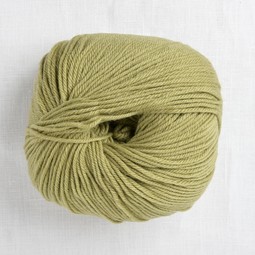 Image of Cascade 220 Superwash 209 Cedar